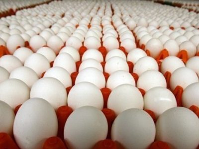 قیمت جدید تخم مرغ اعلام شد