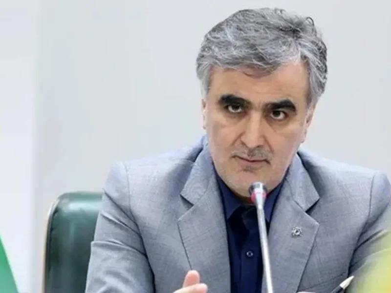 فرزین: پیش‌فروش ارز در دستور کار بانک‌ مرکزی است