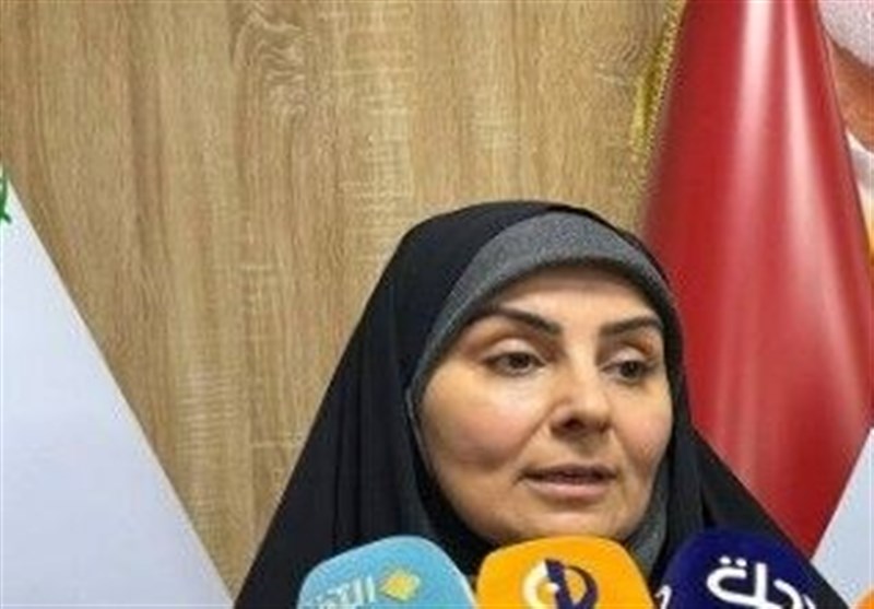 صادق:قیمت بلیت پروازهای اربعین تعیین می‌شود