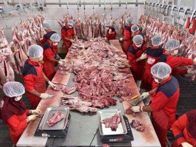 واردات گوشت با نظارت شرعی و بهداشتی انجام می‌شود