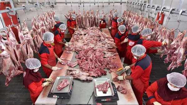 واردات گوشت با نظارت شرعی و بهداشتی انجام می‌شود