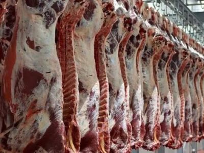 تسهیل واردات در شرایط جنگی/ تشریفات گمرکی و اداری گوشت حذف شد
