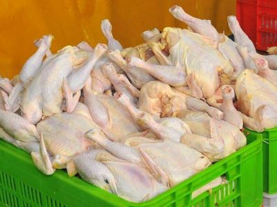 کاهش ۲۴ درصدی تولید گوشت مرغ